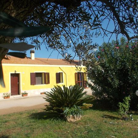 Agriturismo Ezzi Mannu Stintino Exterior foto